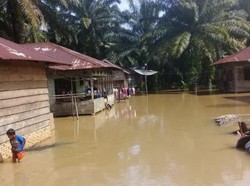 Sungai Batang Toru Meluap, Permukiman di Tapsel Terendam Banjir