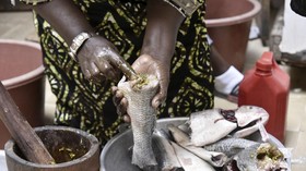 FOTO: Thiebou Dieune Senegal Jadi Warisan Budaya UNESCO