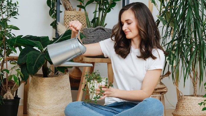 Young happy brunette woman pouring water from watering can on potted plants in her home greenhouse, her little private garden. She's sitting cross-legged on a floor.