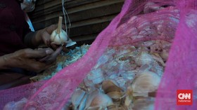 Dari Bawang Putih sampai Kedelai Diimpor Kemendag Jelang Ramadan