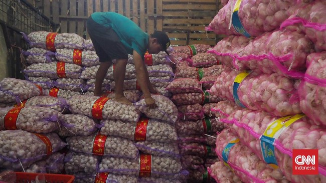 Impor Bawang Putih Masih Jauh Tertinggal dari Kebutuhan, Hanya Terpenuhi Seperempat