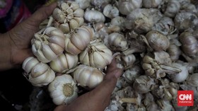 Pemerintah Diminta Patok HET Bawang Putih