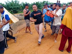 Hilang Diterkam Buaya 5 Meter, Petani di Sumsel Ditemukan Tewas-Kepala Robek