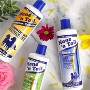 Sampo Kuda Diklaim Bisa Bikin Rambut Cepat Panjang, Beneran? Sebelum Digunakan, Simak Fakta Menariknya di Sini!