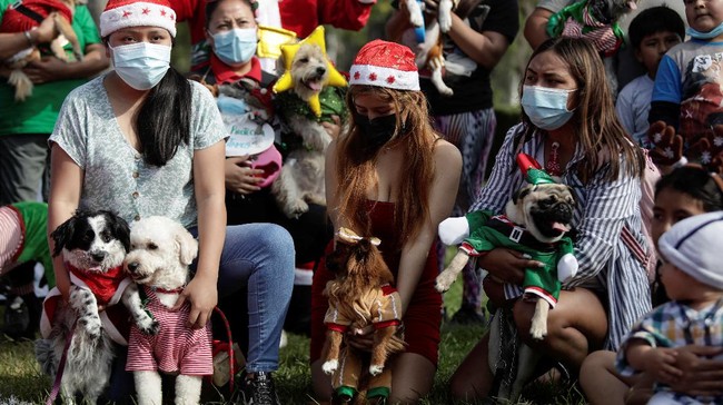FOTO: Adu Gemas Anjing-anjing di Kontes Parade Natal Peru