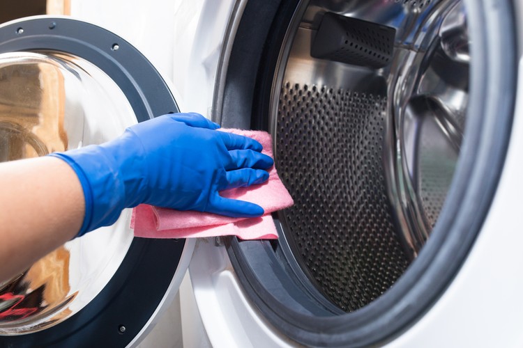 cara membersihkan mesin cuci Hand in blue glovesw cleaning washing mashine with piece of cloth