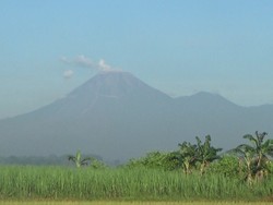 Rentetan Bencana Geologi Desember 2021, Erupsi Gunung Semeru-Gempa Flores