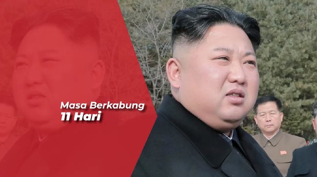 Rakyat Disuruh Mingkem, Aturan Unik Berkabung Kim Jong Un