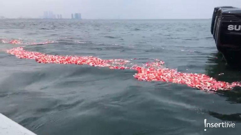 7 Prosesi Haru Pelarungan Abu Kremasi Laura Anna di Laut oleh Keluarga & Sahabat Abu Laura Anna dilarung di laut Ancol pada Jumat (17/12) oleh keluarga. Yuk kita intip prosesinya!