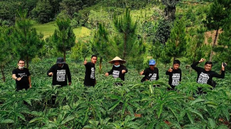 Umumnya, porang dimanfaatkan dengan cara diolah menjadi tepung yang kemudian dipakai sebagai bahan baku industri.
