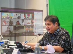 Airlangga Beberkan Jasa Komoditas Sawit ke Ekonomi RI