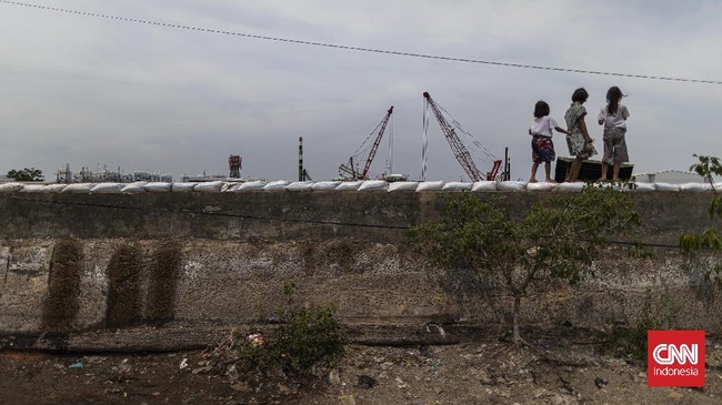 Sudah 12 tahun Niar (39) tinggal di Kampung Kerang. Itu cukup membuatnya terbiasa dengan banjir rob. Tapi bukan berarti juga menikmati. Yang ada malah nestapa.