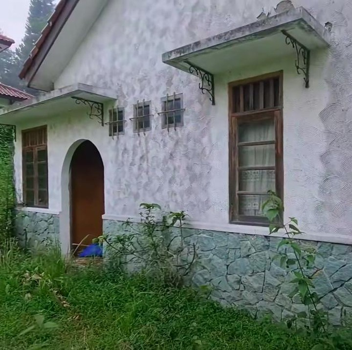 <p>Tak cuma rumah saja, jalanan menuru perkampungan elite ini pun tampak tidak terurus dan dipenuhi rumput liar. Dari jauh, rumah-rumah mewah ini tampak begitu menyeramkan karena tidak terurus. (Foto: YouTube Alman Mulyana)</p>