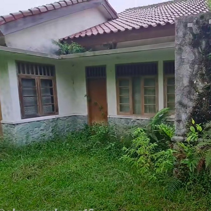<p>Perkampungan elite tanpa penghuni ini banyak ditumbuhi rumput liar. Sebagian rumput menutupi rumah-rumah lho, Bunda. (Foto: YouTube Alman Mulyana)</p>