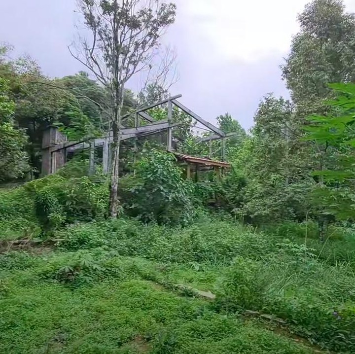 <p>Rumput liar nampak membungkus bangunan sehingga meninggalkan kesan seram. Beberapa rumah mewah bahkan sudah tinggal kerangka karena runtuh, Bunda. (Foto: YouTube Alman Mulyana)</p>