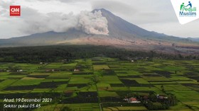 VIDEO: Penampakan Erupsi Semeru, Abu Vulkanik Membumbung Tinggi
