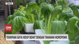 VIDEO: Gaya Hidup Sehat Dengan Tanaman Hidroponik