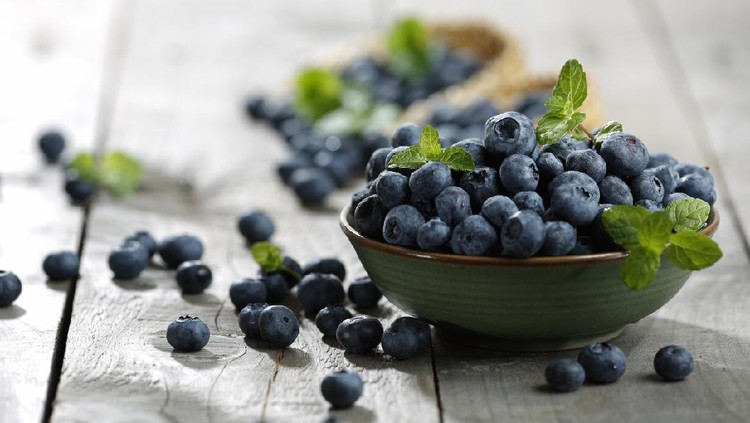 Ilustrasi blueberry Ilustrasi blueberry