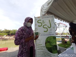 Saling Memberdayakan, Mantan TKI Indramayu Sulap Daun Jintan Jadi Teh