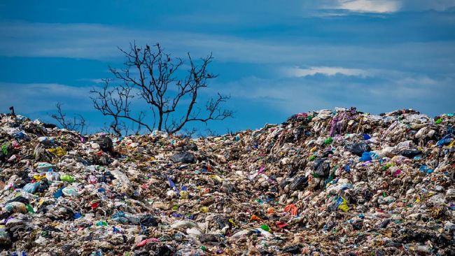Saat lagi asik-asiknya menikmati udara pagi, tiba-tiba tercium bau asap bakaran sampah. Apa sih bahaya asap bakar sampah?