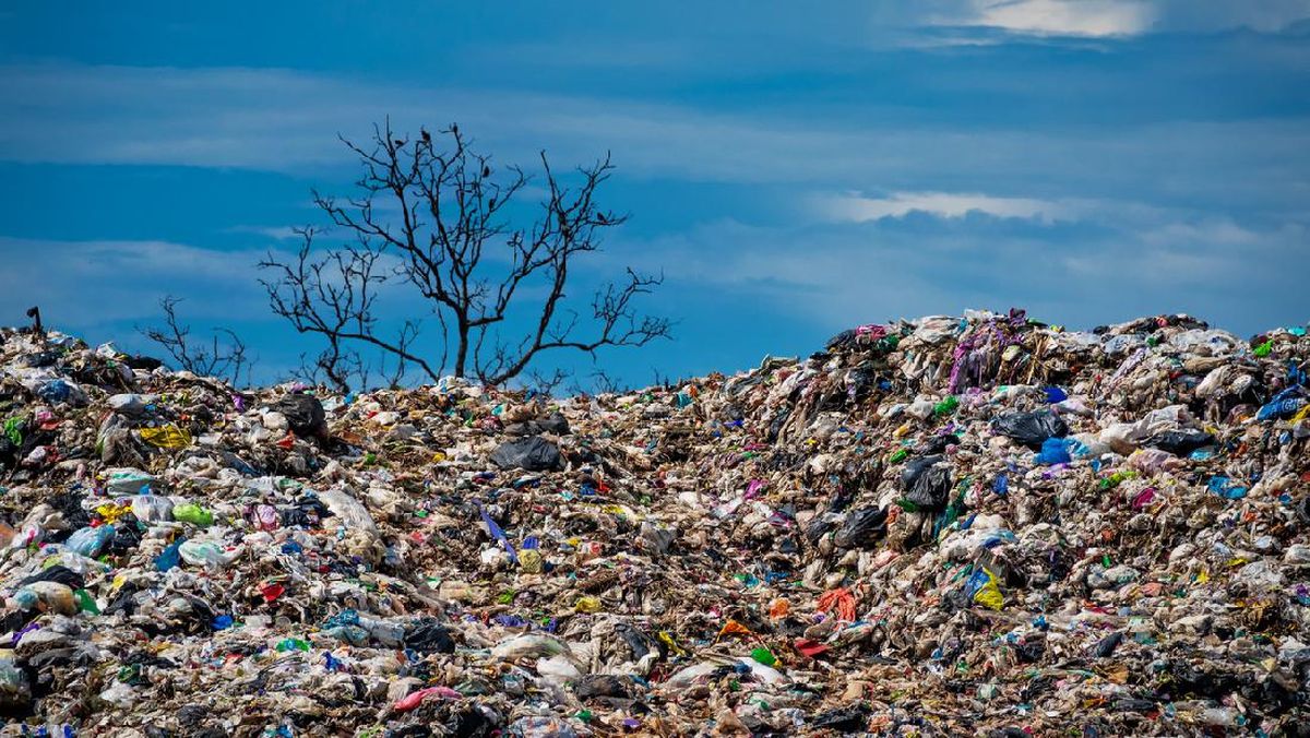 Contoh Sampah Organik dan Anorganik serta Cara Memanfaatkannya