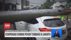 VIDEO: Kompensasi Korban Pohon Tumbang di Jakarta
