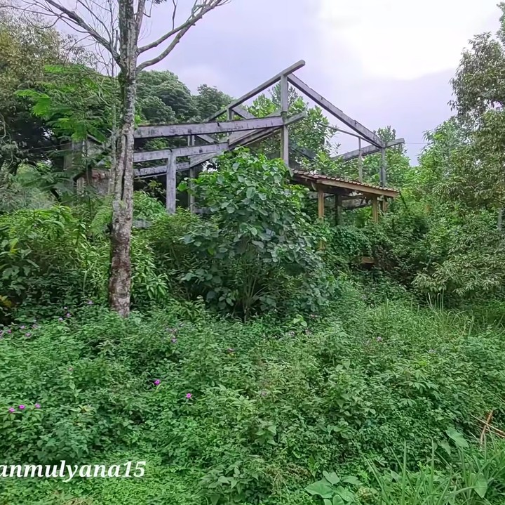 <p>Tak hanya itu, rumput-rumput liat yang tumbuh di sekitar rumah juga membuat rumah jadi terlihat angker. Seram banget ya, Bunda! (Foto: YouTube Alman Mulyana)</p>