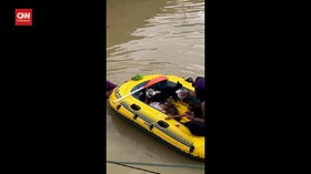 VIDEO: Detik-detik Haru Penyelamatan Kucing di Banjir Malaysia