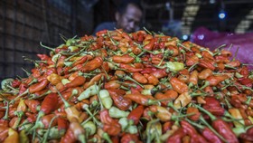 Harga Cabai Rawit di Pasar Wilayah Jatim Naik Jelang Ramadan