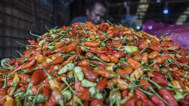 Harga cabai rawit di sejumlah pasar tradisional Jawa Timur merangkak naik ke kisaran Rp60 ribu hingga Rp65 ribu jelang Ramadan 2022. Berikut rinciannya.