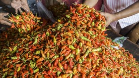 Puasa Masih 3 Minggu Lagi, Harga Mayoritas Bahan Pokok Sudah Naik