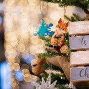 5 Ucapan Hari Natal dari Quotes Tokoh Inspiratif di Dunia, Bagikan ke Keluarga dan Teman Dekat sebagai Wujud Cinta Kasih!