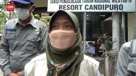 VIDEO: TNBTS Belum Bisa Pastikan Nasib Satwa Akibat Erupsi Semeru
