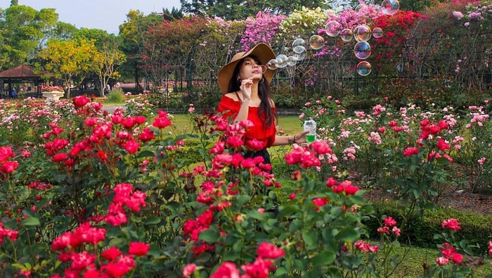 Instagrammable Banget! Intip 5 Taman Bunga Paling Memesona di Indonesia, Nggak Kalah Sama Luar Negeri!