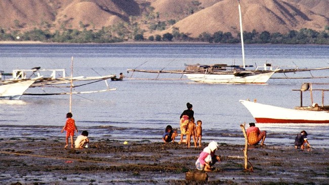 Balai Taman Nasional (TN) Komodo mengungkapkan beberapa permasalahan, salah satunya kapal ilegal yang kerap wara-wiri mengantar wisatawan.
