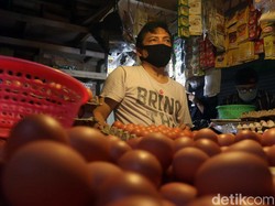 Terungkap! Ini Biang Kerok Harga Telur Ayam Tembus Rp 32.000/Kg