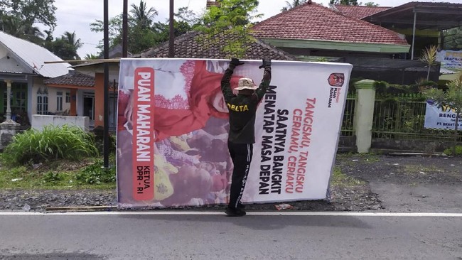 Satpol PP Lumajang hingga saat ini telah mengamankan 33 lembar baliho bergambar Puan berukuran besar, kemungkinan masih akan bertambah.