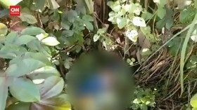 VIDEO: Balita Diculik dan Dibunuh, Mayatnya Dibuang di Semak-Semak