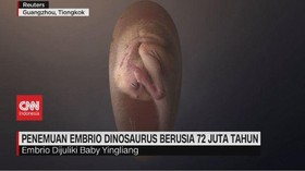 VIDEO: Penemuan Embrio Dinosaurus Berusia 72 Tahun
