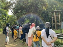 Wisata Jakarta yang Sudah Buka: Ini Daftar dan Jadwal Operasionalnya