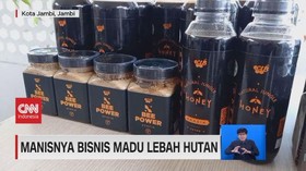 VIDEO: Manisnya Bisnis Madu Lebah Hutan