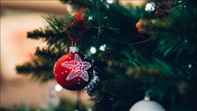 Pohon Natal Tua Mama