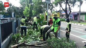VIDEO: Walikota Tangerang Berikan Asuransi Untuk Korban Pohon Tumbang