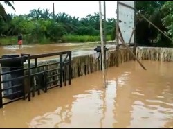 Selain Jalanan, Banjir Juga Genangi Puluhan Rumah Warga Tanjabbar Jambi