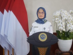 Evaluasi Selesai, Pesawat Boeing 737-9 Max Lion Air Beroperasi Lagi