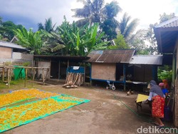 Industri Kerupuk Rumahan dan Racikan Kopi Khas Desa Tetebatu
