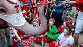 FOTO: Kemeriahan Natal di Berbagai  Negara di Dunia