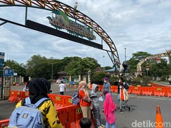 Antusiasme Pengunjung Tamasya di Ragunan Saat Libur Natal