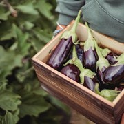 Satu Makanan yang Populer di Indonesia dan Korea Ini Bisa untuk Diet, Simak Manfaat Lainnya!