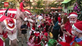 VIDEO: Saat Gajah Berubah Jadi Sinterklas Rayakan Natal di Thailand